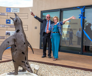 African Penguin and Seabird Sanctuary (APSS) opens in Gansbaai